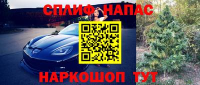 СК Старая Купавна
